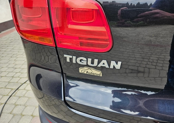 Volkswagen Tiguan cena 49300 przebieg: 155000, rok produkcji 2013 z Rzeszów małe 67